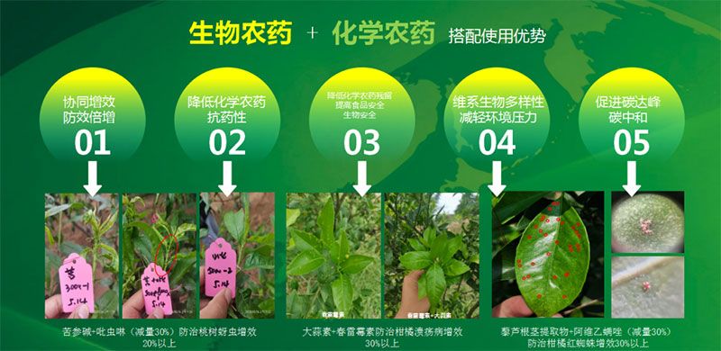 新朝陽在第六屆中國農(nóng)藥行業(yè)市場(chǎng)和銷售高峰論壇做“生物農(nóng)藥+化學(xué)農(nóng)藥，引領(lǐng)植保市場(chǎng)未來”主題報(bào)告
